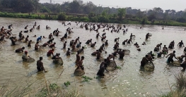 কুমিল্লার কালাডুমুর নদীতে মাছ ধরার উৎসব